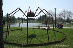 IMG 1916