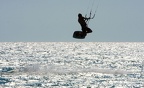 IMG 8592b