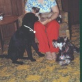 scan0653