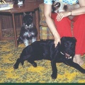 scan0654