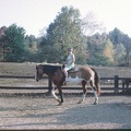 scan0655