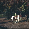 scan0664