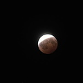 IMG 5856
